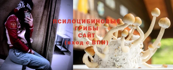 дурь Алексеевка